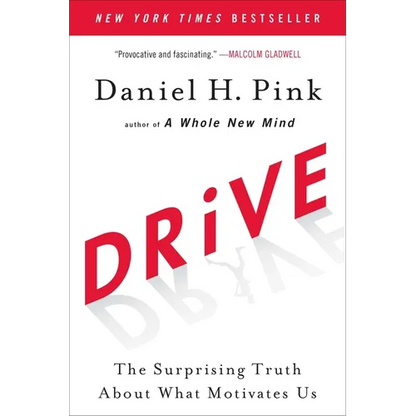 Drive: The Surprising Truth about What Motivates Us