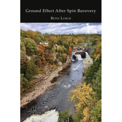 Ground Effect After Spin Recovery