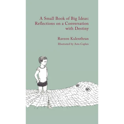 A Small Book of Big Ideas: Reflections on a Conversation with Destiny - Hardcover