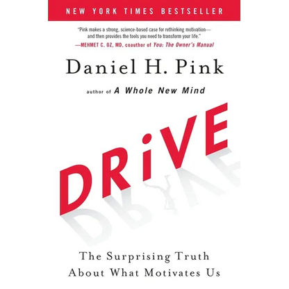 Drive: The Surprising Truth about What Motivates Us