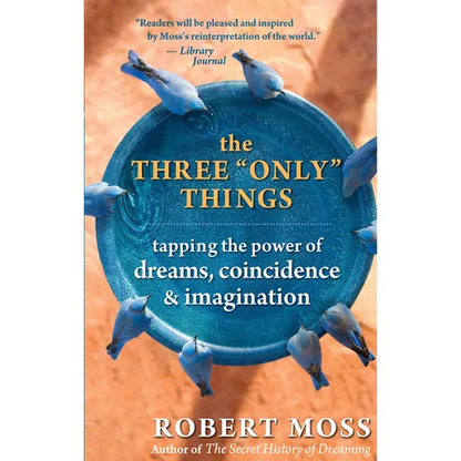 The Three Only Things: Tapping the Power of Dreams, Coincidence, and Imagination - Paperback