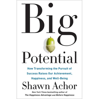 Big Potential: How Transforming the Pursuit of Success Raises Our Achievement, Happiness, and Well-Being
