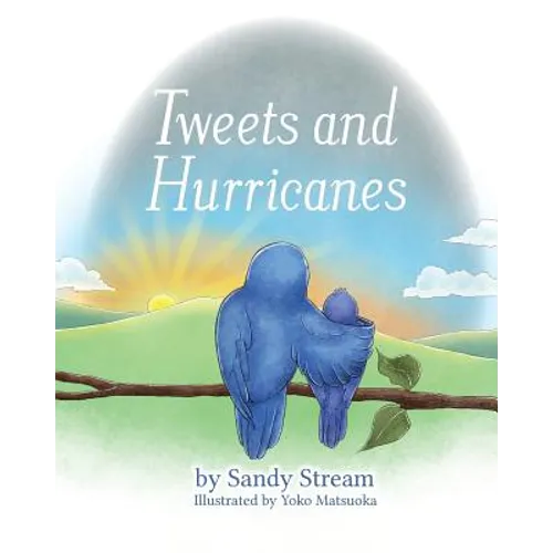Tweets and Hurricanes