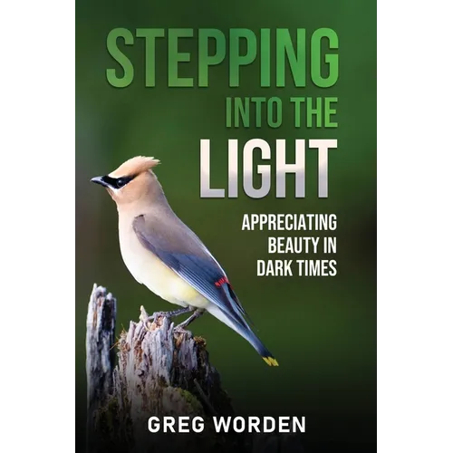 Stepping into the Light: Appreciating Beauty in Dark Times