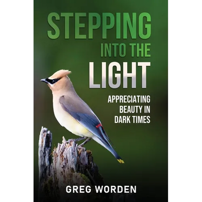 Stepping into the Light: Appreciating Beauty in Dark Times - Paperback