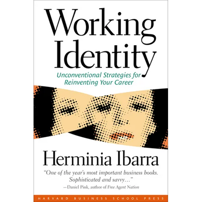 Working Identity: Unconventional Strategies for Reinventing Your Career - Paperback