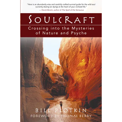Soulcraft: Crossing Into the Mysteries of Nature and Psyche - Paperback