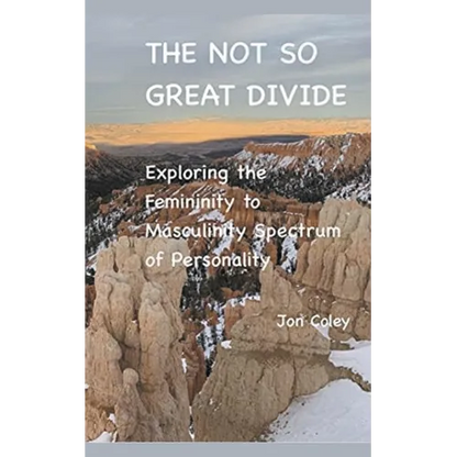 The Not So Great Divide - Paperback