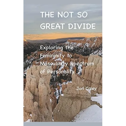The Not So Great Divide - Paperback
